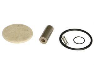 Repair kit of Landi Renzo solenoid