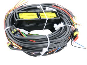 Wiring STAG 300-6 QMAX PLUS 6 cyl.