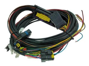 E-G@S controller wiring model 425.382 for 4 cyl