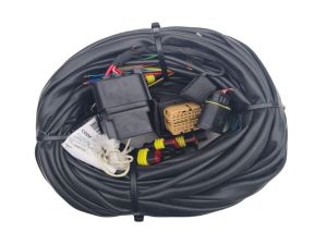 Okablowanie do LOVATO Easy Fast C-OBD II, 8 cyl.