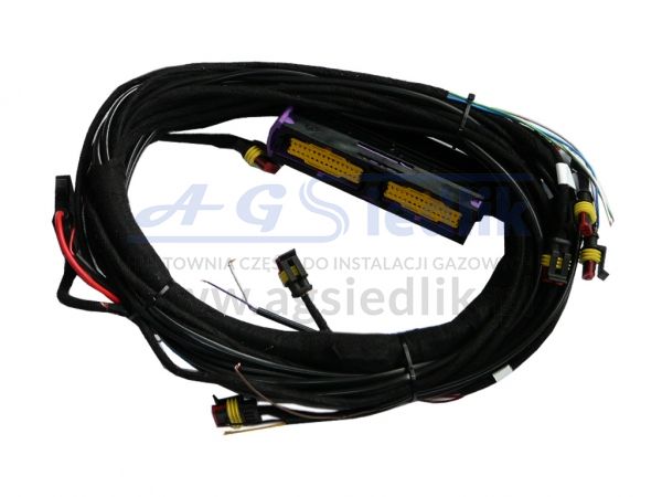ESGI-2 wiring 3-4 cyl.