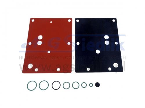 Repair kit for refurbishing the BRC GENIUS MAX (black) reducer.