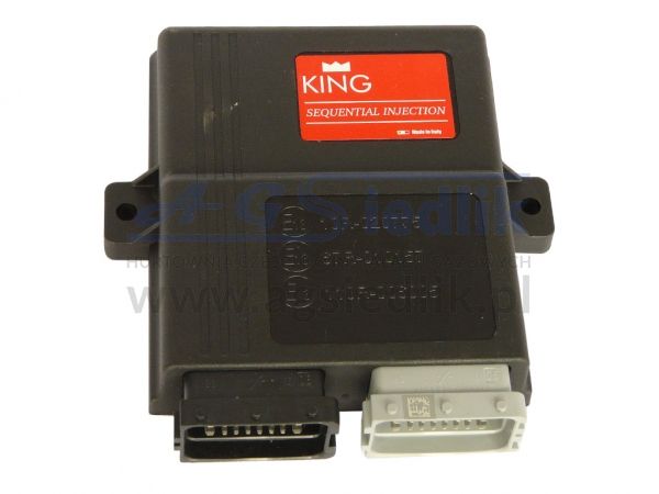 Sterownik komputer KING AEB 2001 PC