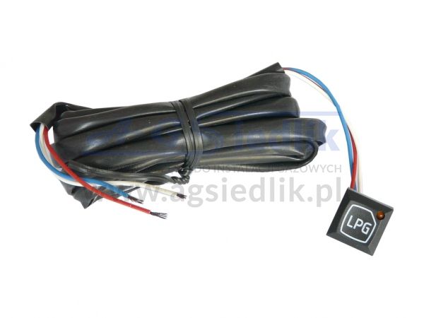 Centralka AEB 173 R przełącznik do ELPIGAZ Nicolaus / Hevelius