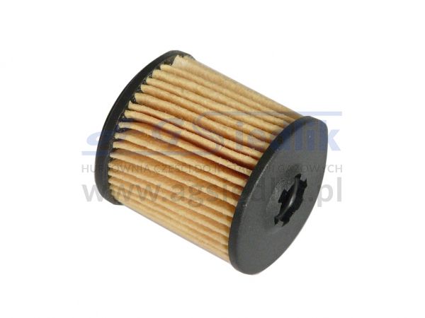 LPG solenoid filter Tartarini E08G