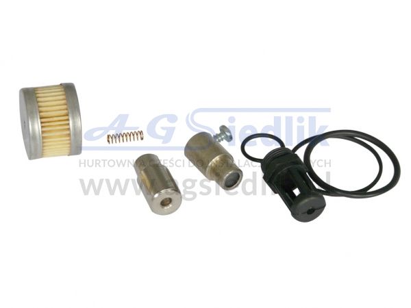 Solenoid valve repair kit Landi Renzo