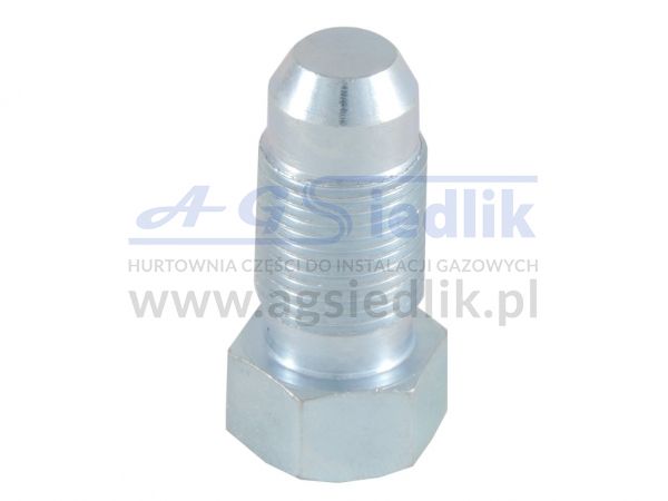 Zaślepka do CNG - M12x1  dł. 31 mm