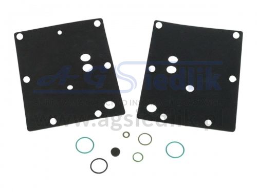 Repair kit for the BRC GENIUS MAX reducer (black – replacement).