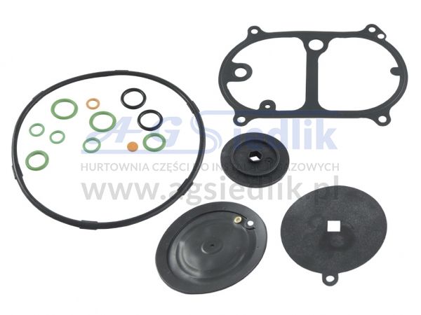 Zestaw naprawczy OMVL DREAM-G (K901704) reduktora OMVL