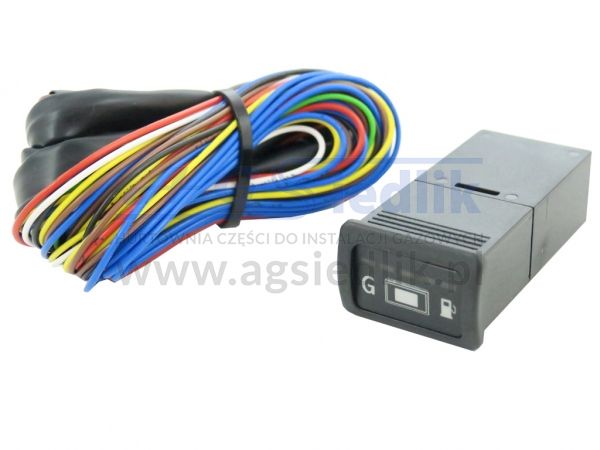 AEB 725A control unit (micro) for injection with gas level display