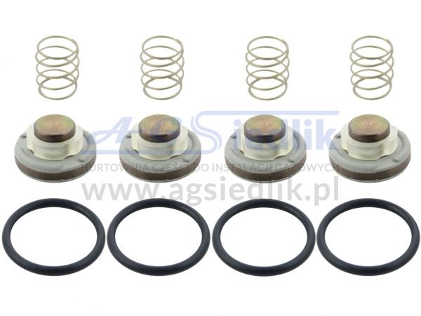 Elpigaz GREY injector repair kit, 4 pieces