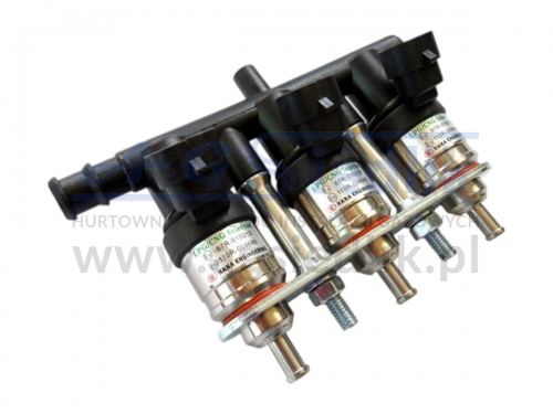 HANA H2001 - GOLD - 3-cylinder fuel rail, type C (black), 20-30 HP