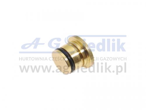 Gas outlet plug for AC W02 injection rail