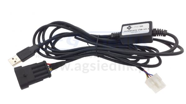 EUROPEGAS interface, original USB