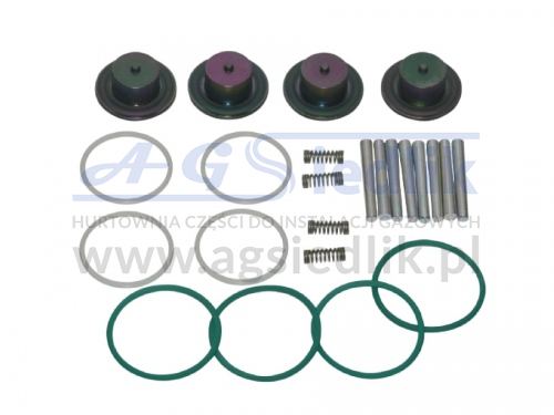 Landi Renzo repair kit for the girs rail 12 - 4 cyl.