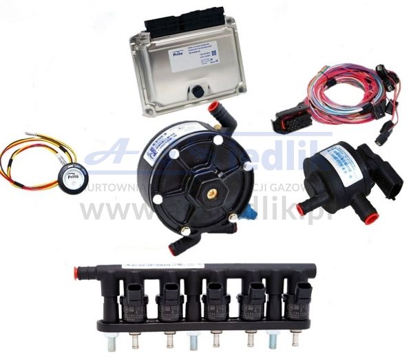 6 cyl. set PRINS VSI-2.0 / KEIHIN 82cc / Reducer / 8mm