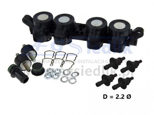 AEB I-Plus POLYMER rail 4 cyl (+ nozzles Ø 2.2 + mounting kit)