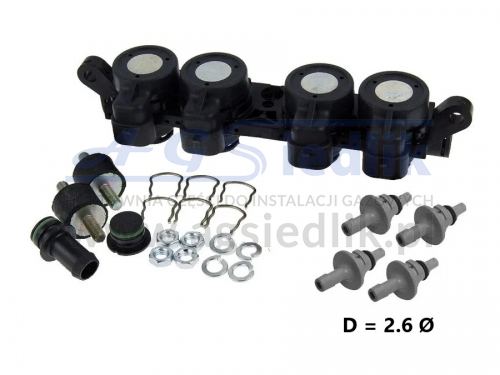 AEB I-Plus POLYMER rail 4 cyl (+ nozzles Ø 2.6 + mounting kit)