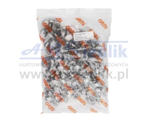 GEMI SX9 Worm Drive Hose Clamp (W2) – Size 10–16 mm (Pack of 100 pcs)