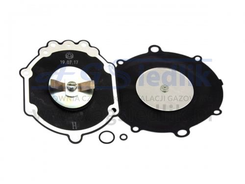 Reducer Repair Kit for Aisan SC