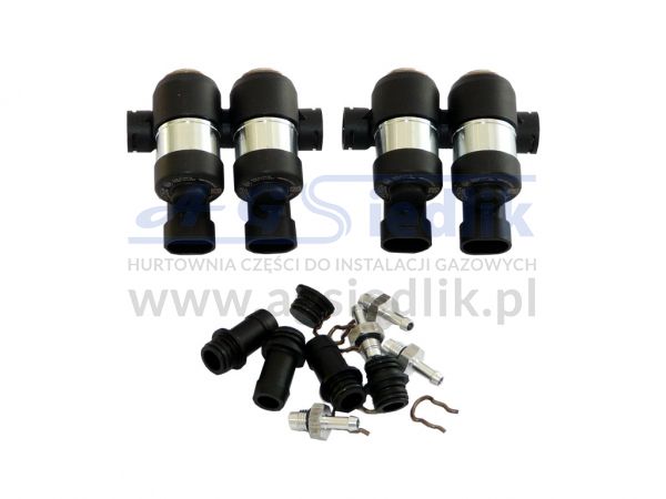 Injection rail DRAGON LPGTECH 4 cyl.