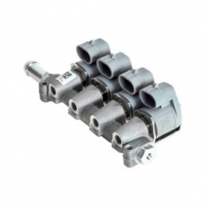 Injection rail RAIL APACHE 4 cyl 2 ohm injector