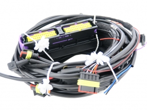 Zestaw elektronika AC STAG 300-4 Plus