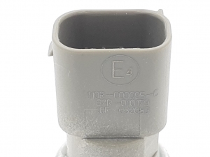 BRC pressure and temperature sensor PTS DE5250012