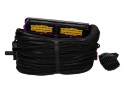 Elektronika Zenit Black Box 8 cyl. + sensor 7012