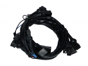 E6 injection emulator engine 6 cyl LECHO