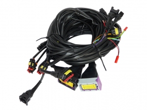 LECHO Sec Pro 4 cyl ATS set electronics